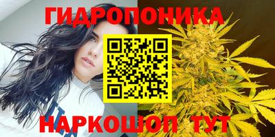 метадон Будённовск