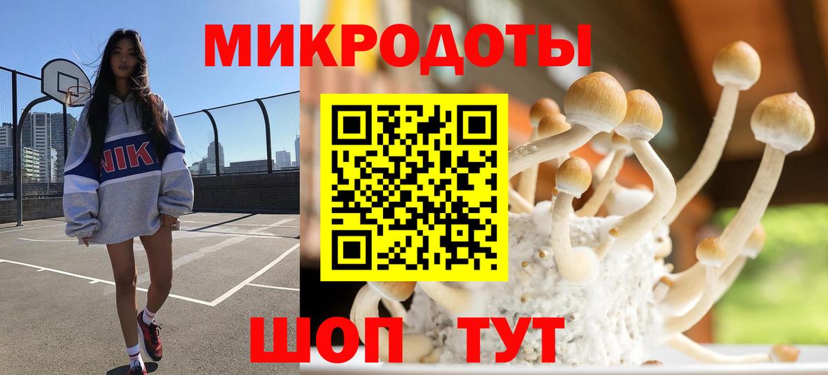Сосновоборск  купить  сайты  Вход с VPN  Псилоцибиновые грибы мицелий 