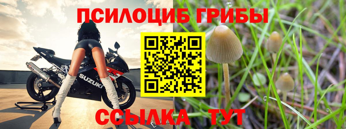 Псилоцибиновые грибы GOLDEN TEACHER Сосновоборск